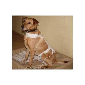 Bioresonantie Stofdetector Grote honden